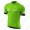 Profiteam 2018 Cube Grün Trikot Kurzarm