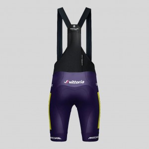 Bekleidung Herren Gobik Wilier Vittoria 2025 Absolute Print K10 tragerhose